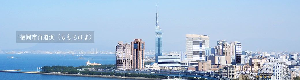 福岡市百道浜（ももちはま）の全景写真　画像中央部タワーの右下が事務局です。